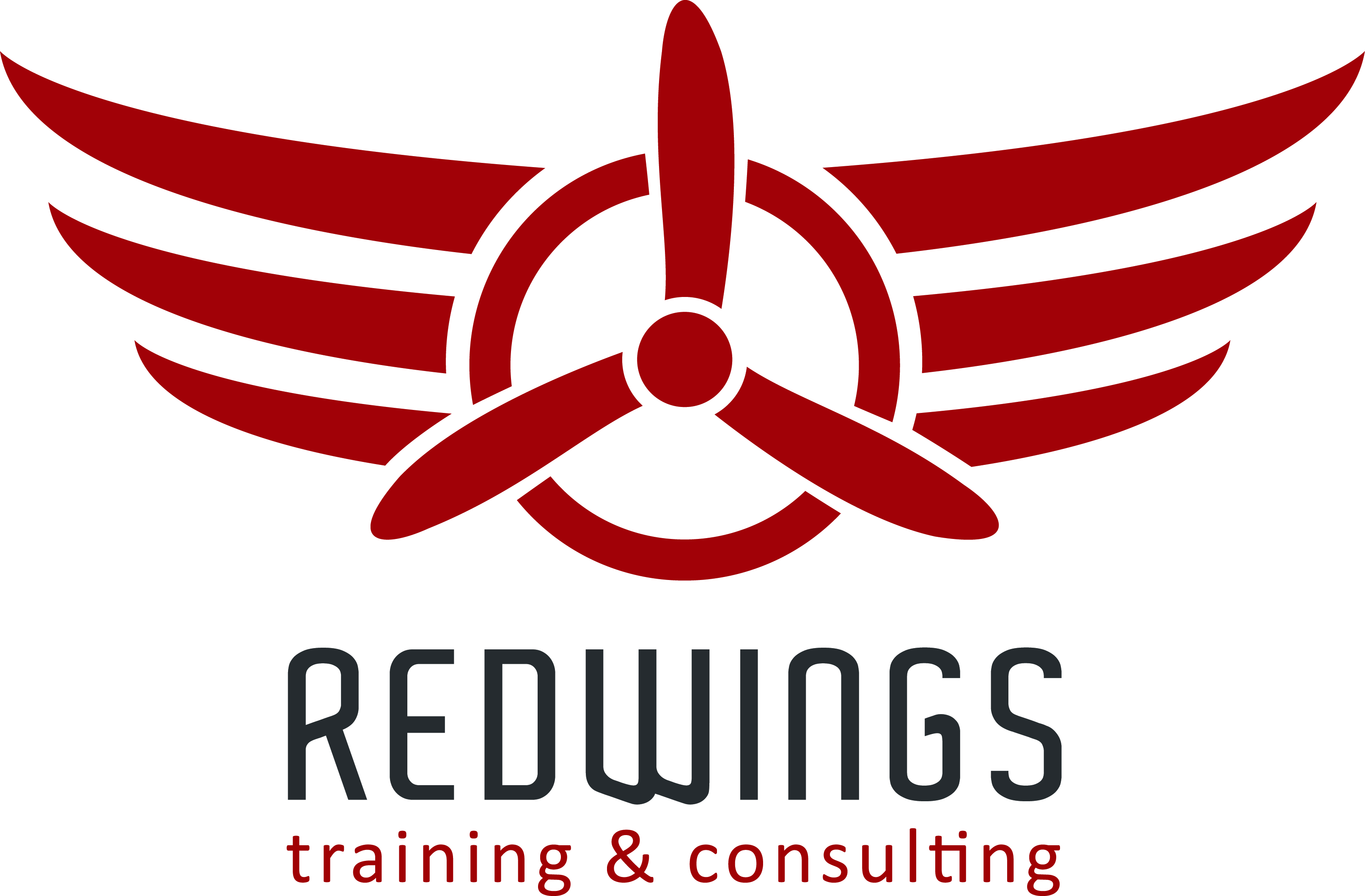 REDWINGS Training&Consulting 